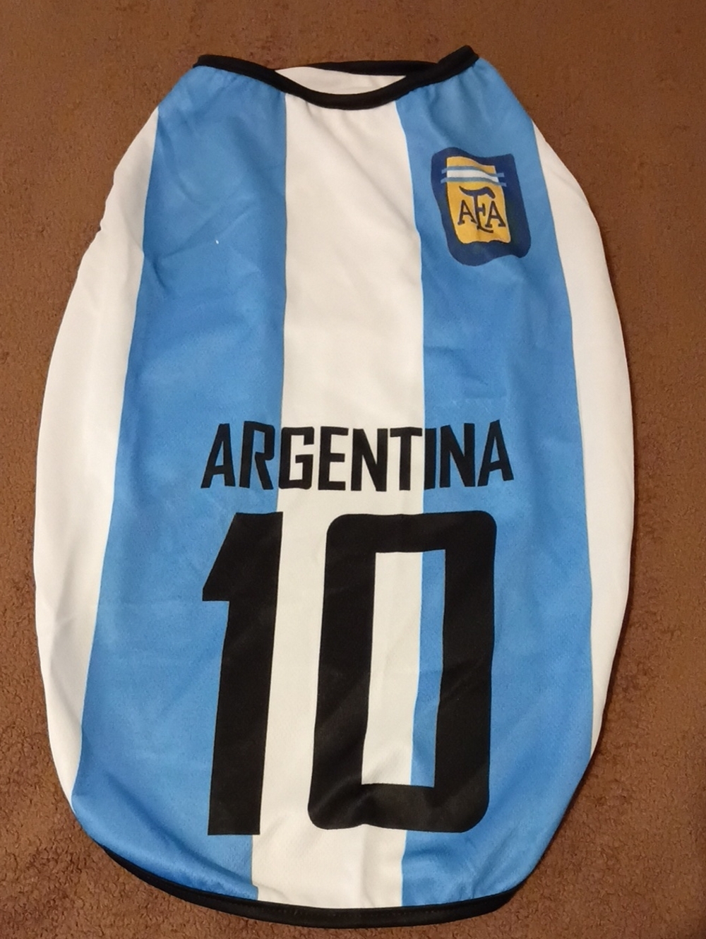 Argentina Blue & White Striped Dog Jersey - AFA 10